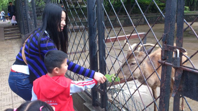 孩子与动物们的亲密接触.png 孩子与动物们的亲密接触.png