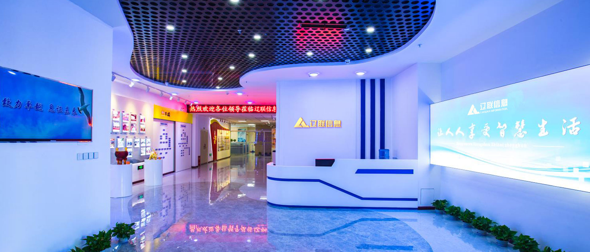 ����28����